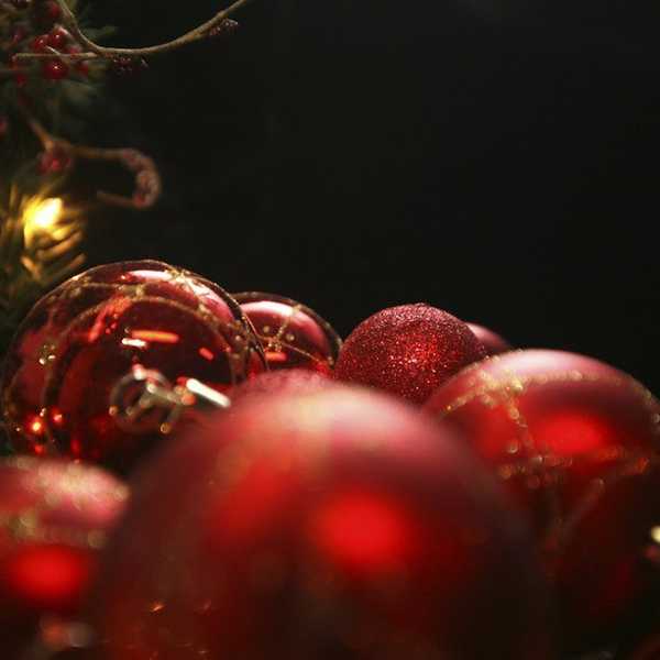 The 12 Dates of Christmas