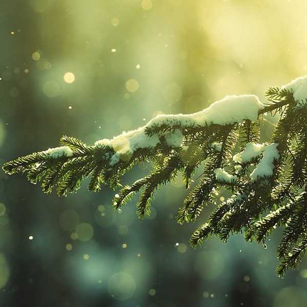 You Need to Add These Songs to Your Christmas Playlist