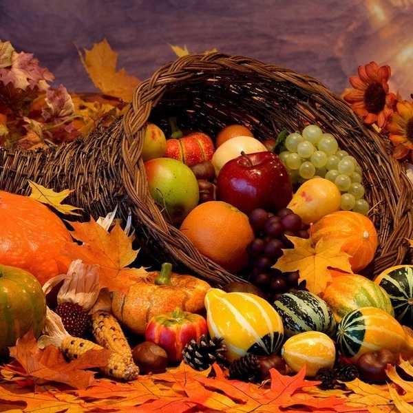 I'm Thankful For Thanksgiving