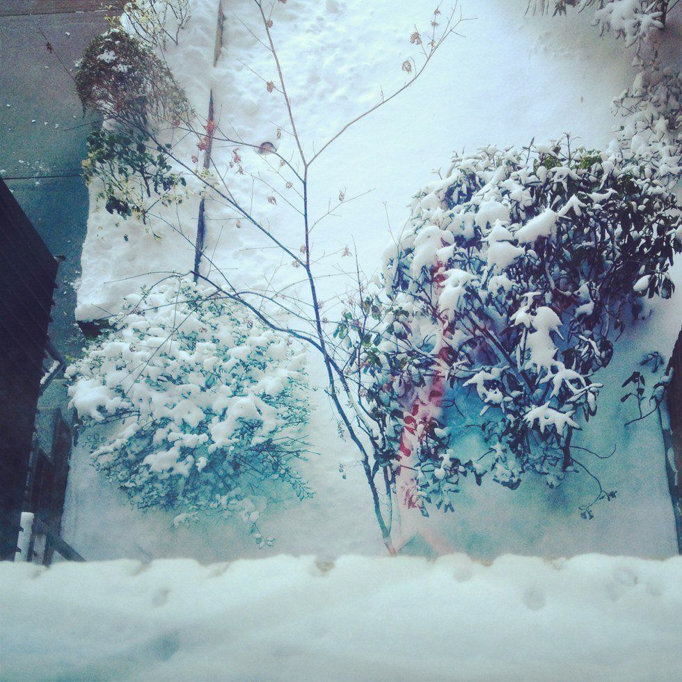 20 Hopes and Thoughts - December Style