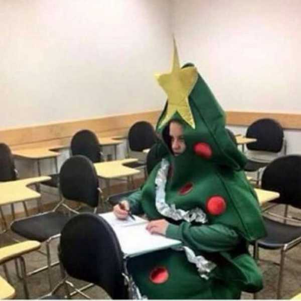 The 12 Pains of Finals