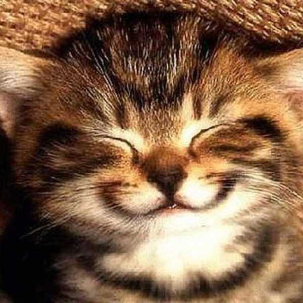 20 Little Things That Never Fail To Make You Smile
