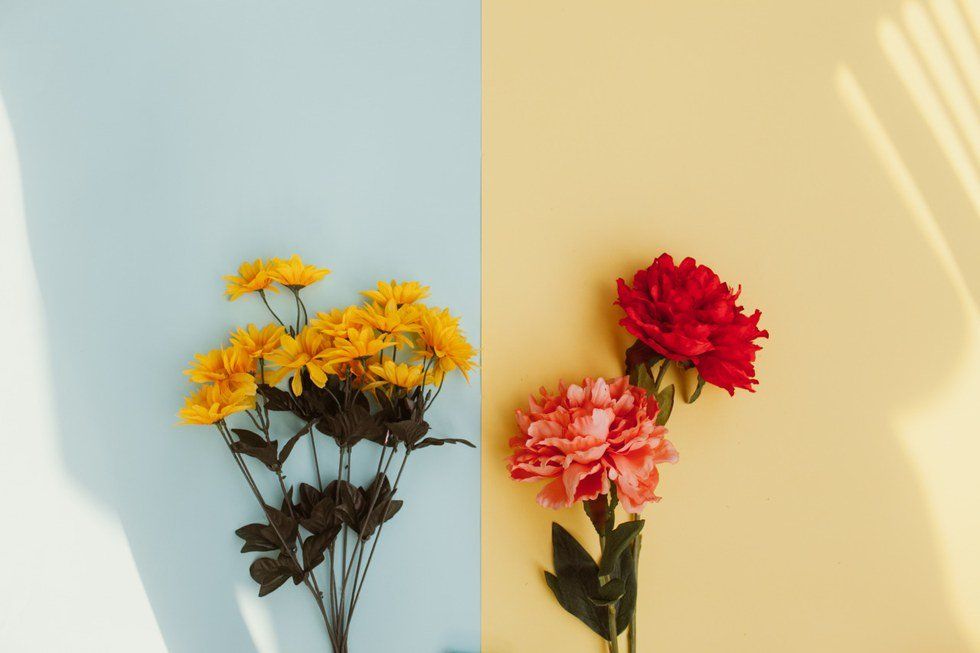 Stop Looking For Love