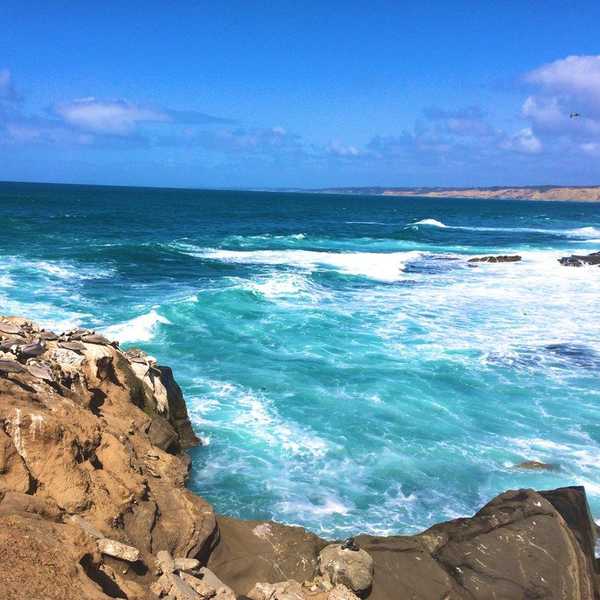 The Last Month Of 2016