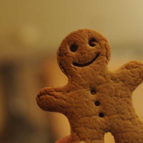 The Dynamic Of Holidays With A Small Family