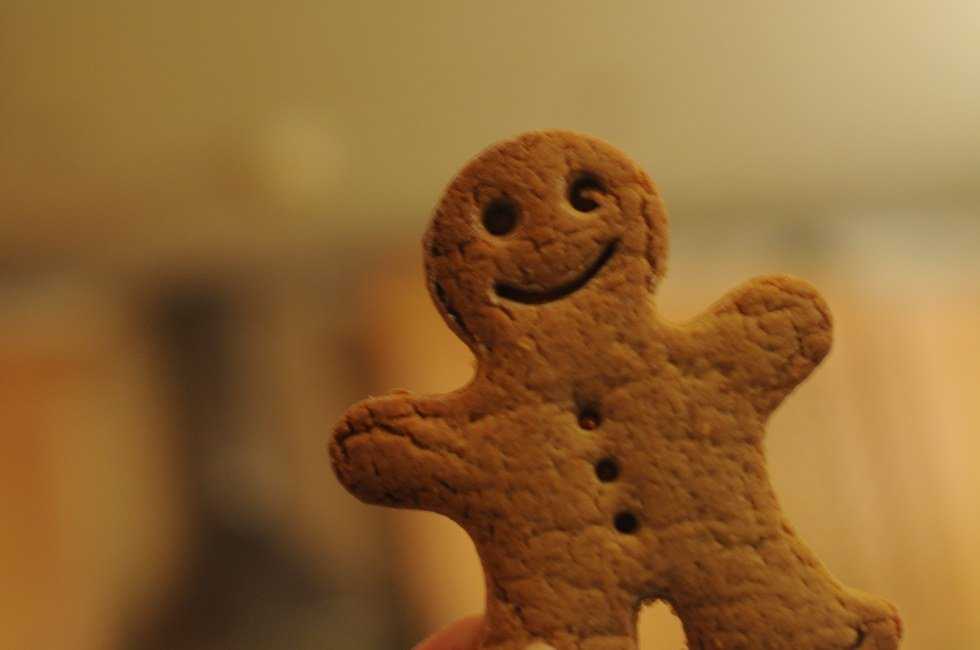 The Dynamic Of Holidays With A Small Family