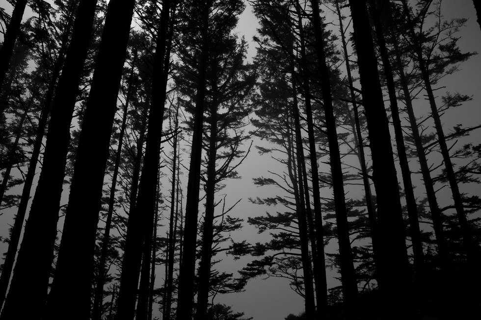 "The Ring" Verdict- Not Terrible
