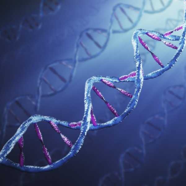 The Future of Genetics