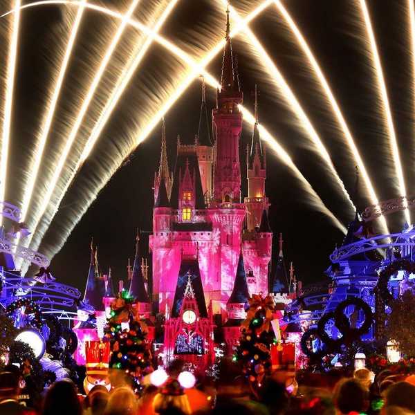 A Love Letter To Disney World