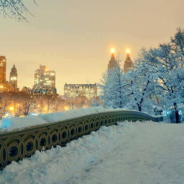 Christmas Events in Manhattan