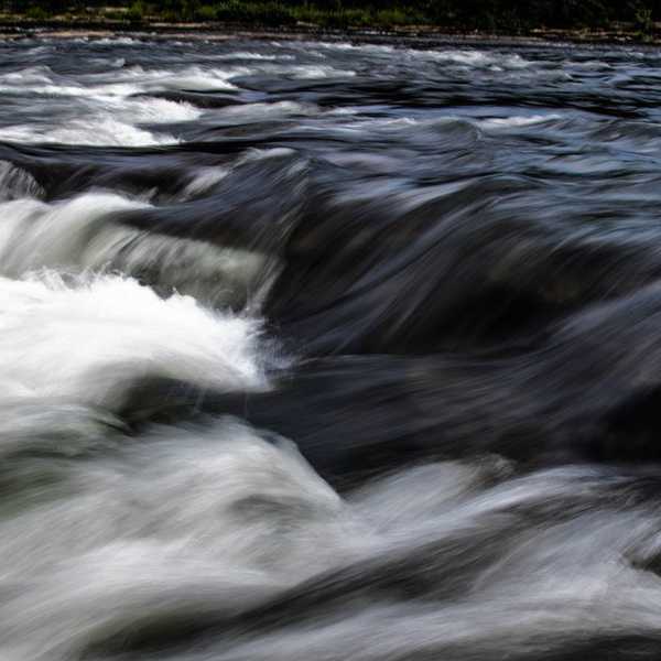 Tales From a Horrible Summer Job