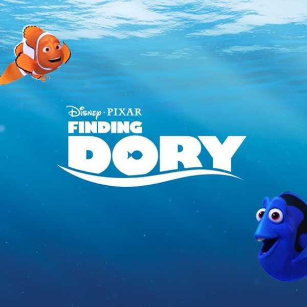 The End Of The Semester Told In Finding Dory GIFs