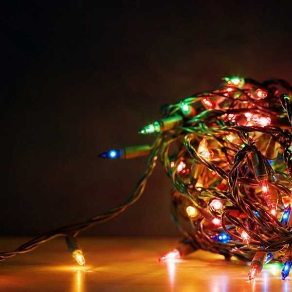 5 Reasons Why To Be Thankful This Holiday Season