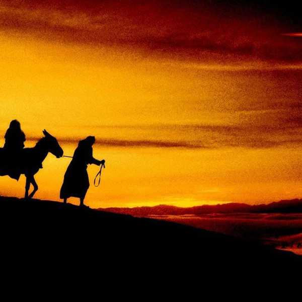 Silent Night, Holy Night the Real Meaning of Christmas