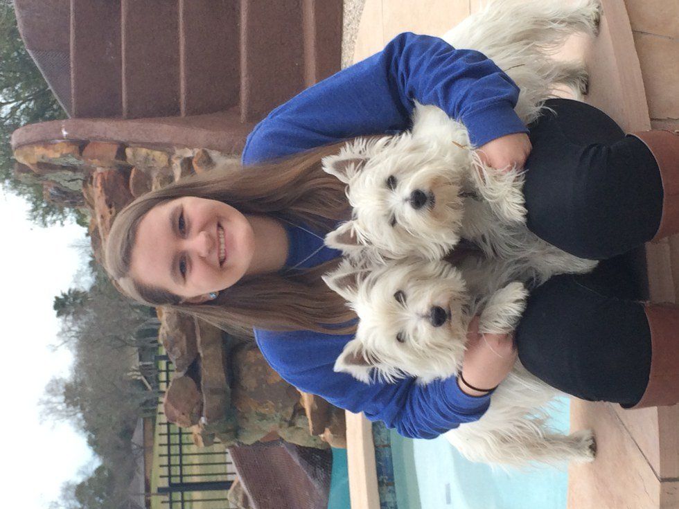 An Open Letter to My Dogs