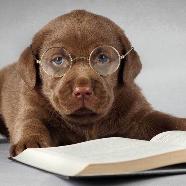 The Best Of Pinterest To Get You Through Finals