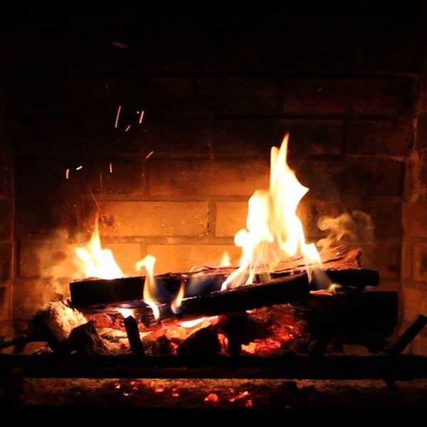 11 Things I Love About Going Home