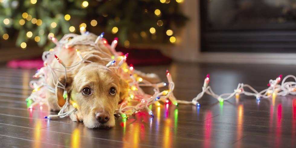 To Those Who Can't Come Home For Christmas