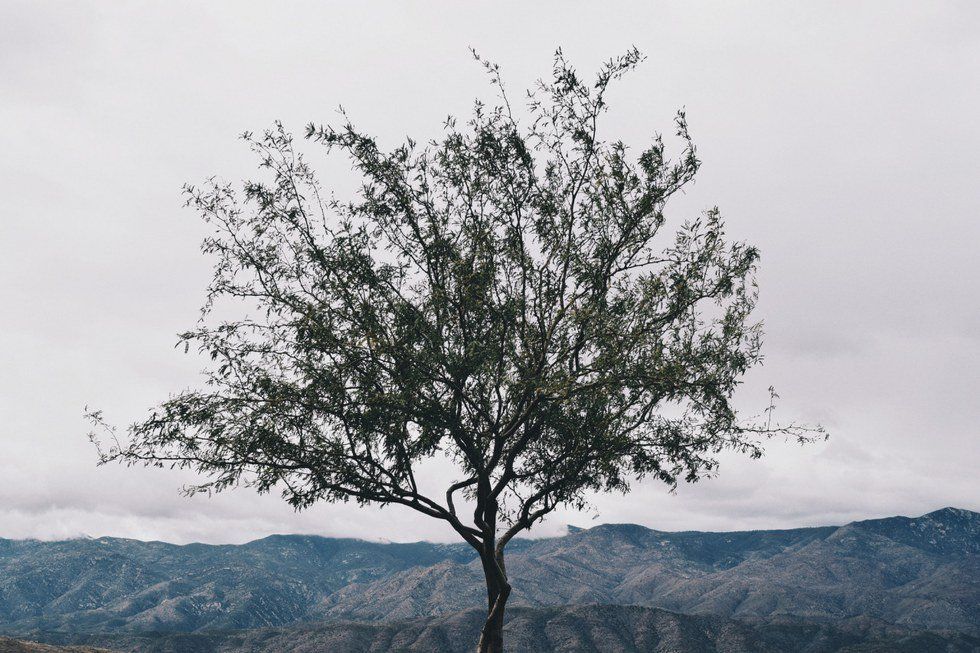 How Helping The Mental Health Of Others Has Helped Mine