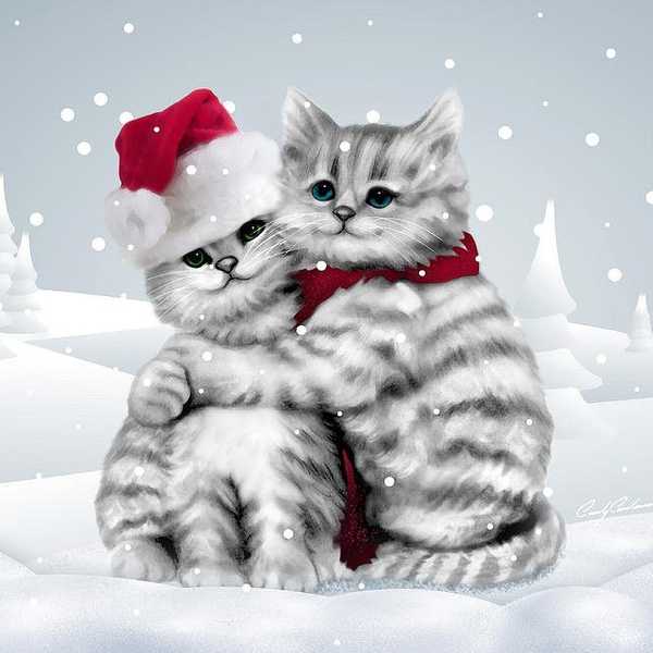 Don't Forget To Be Thankful