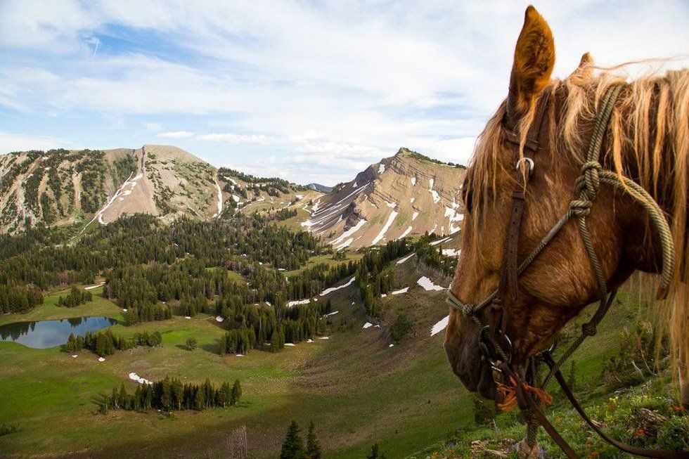 The Power Of Documentaries