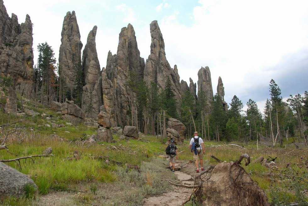 Camping In The Black Hills