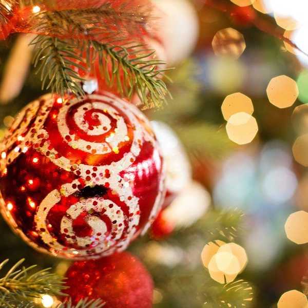 5 Aspects Of The Christmas Spirit Transformation