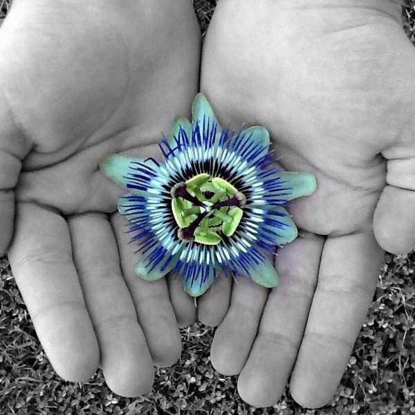 A Letter of Hope During Thanksgiving