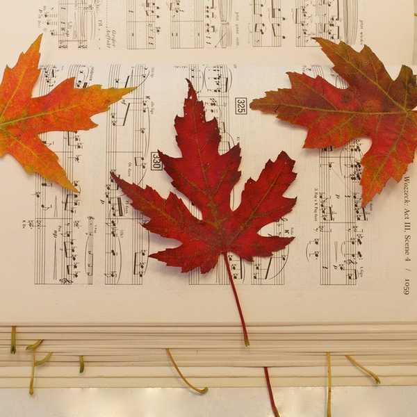 5 Songs That Remind You of Fall