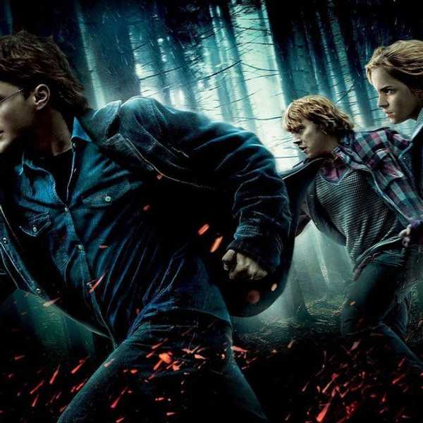 Black Friday Shopping As Told By Harry Potter