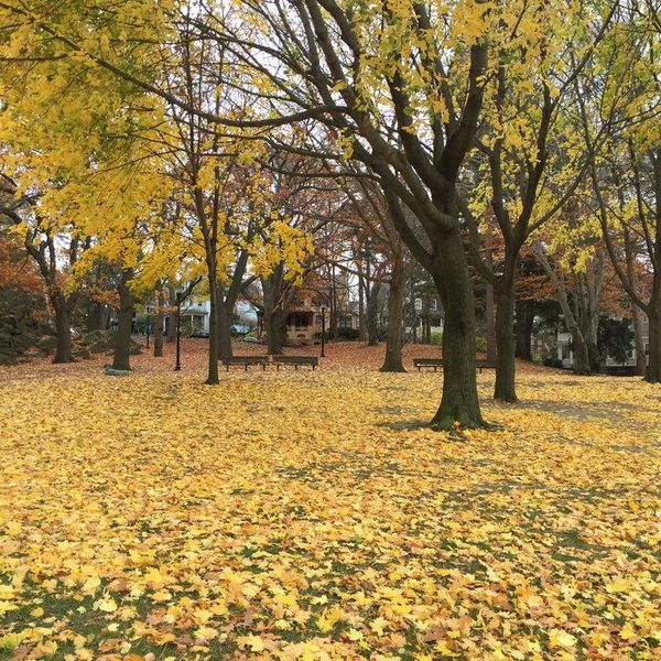 A Love Letter To Seasons