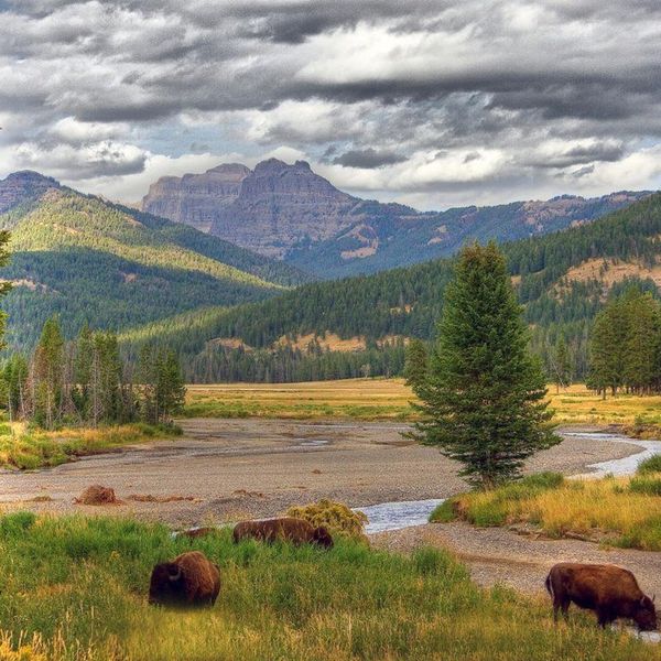 America’s Best National Parks