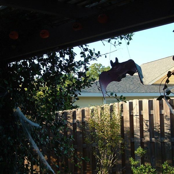 Seven Years Bad Luck