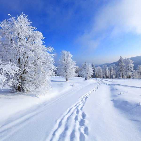 The 5 Best Things About December