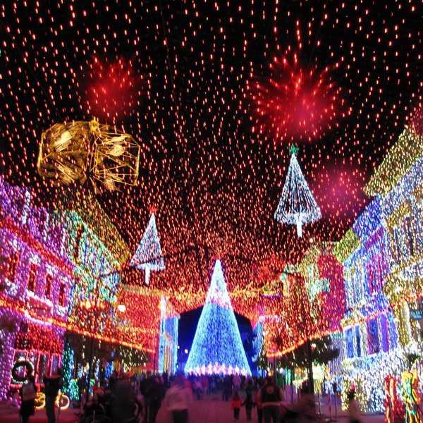 The Christmas Fever Has Arrived