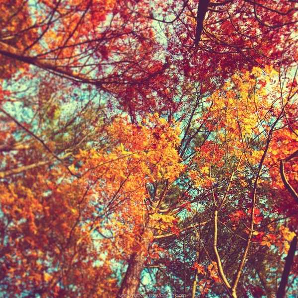 A Thankfulness Check List