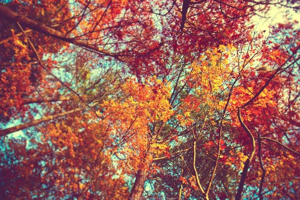 A Thankfulness Check List