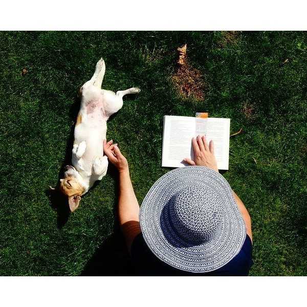 5 Ways To Conquer Stress In College