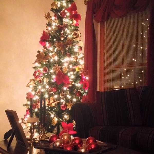 Since When Did Christmas Mean Chaos?