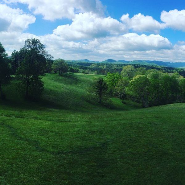 Trump Voters: I Do Not Like You