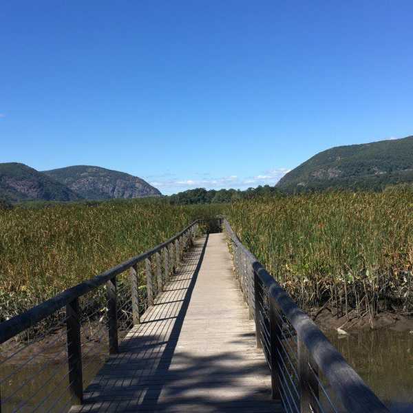 25 Quotes To Remind You To Keep Trying