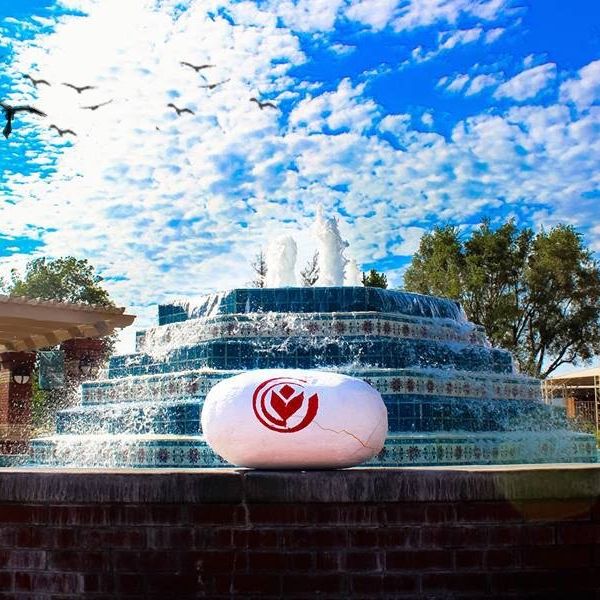 The Biola Egg Is Actually A Griffin Egg