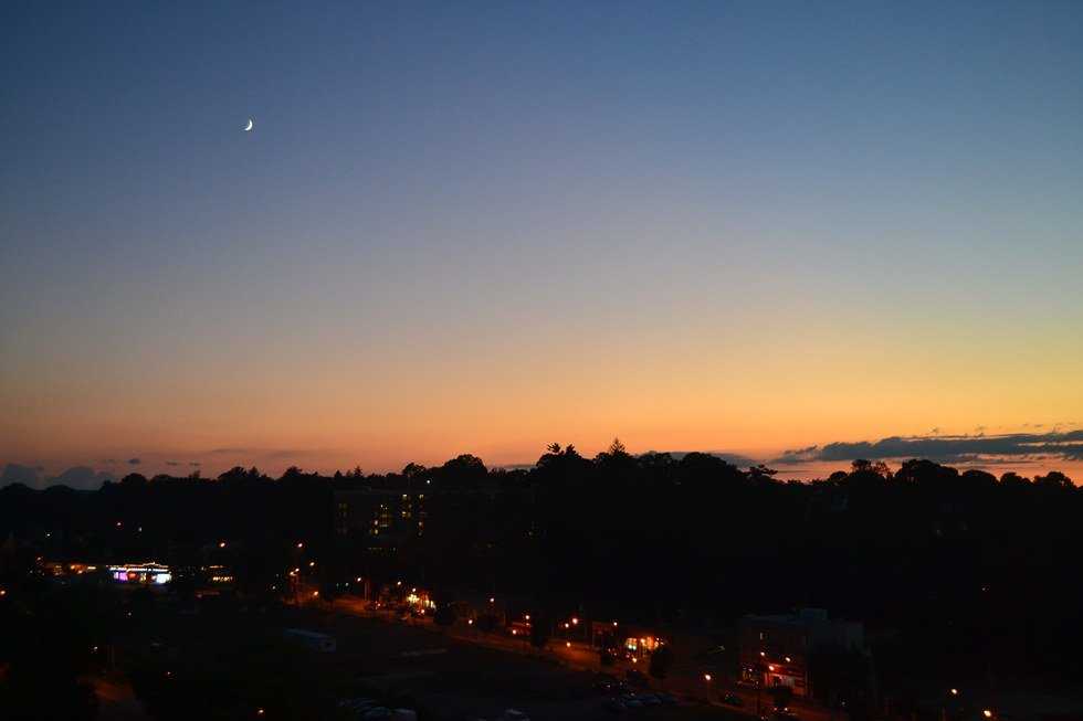 Thanksgiving Away from Home