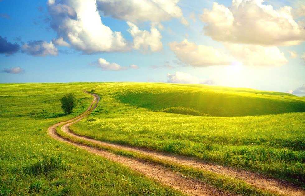 Be Content In Your Present