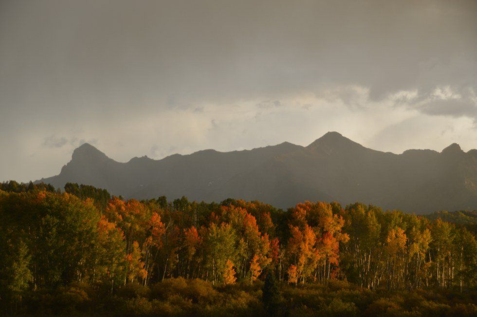 5 Things I'm Grateful For This Year