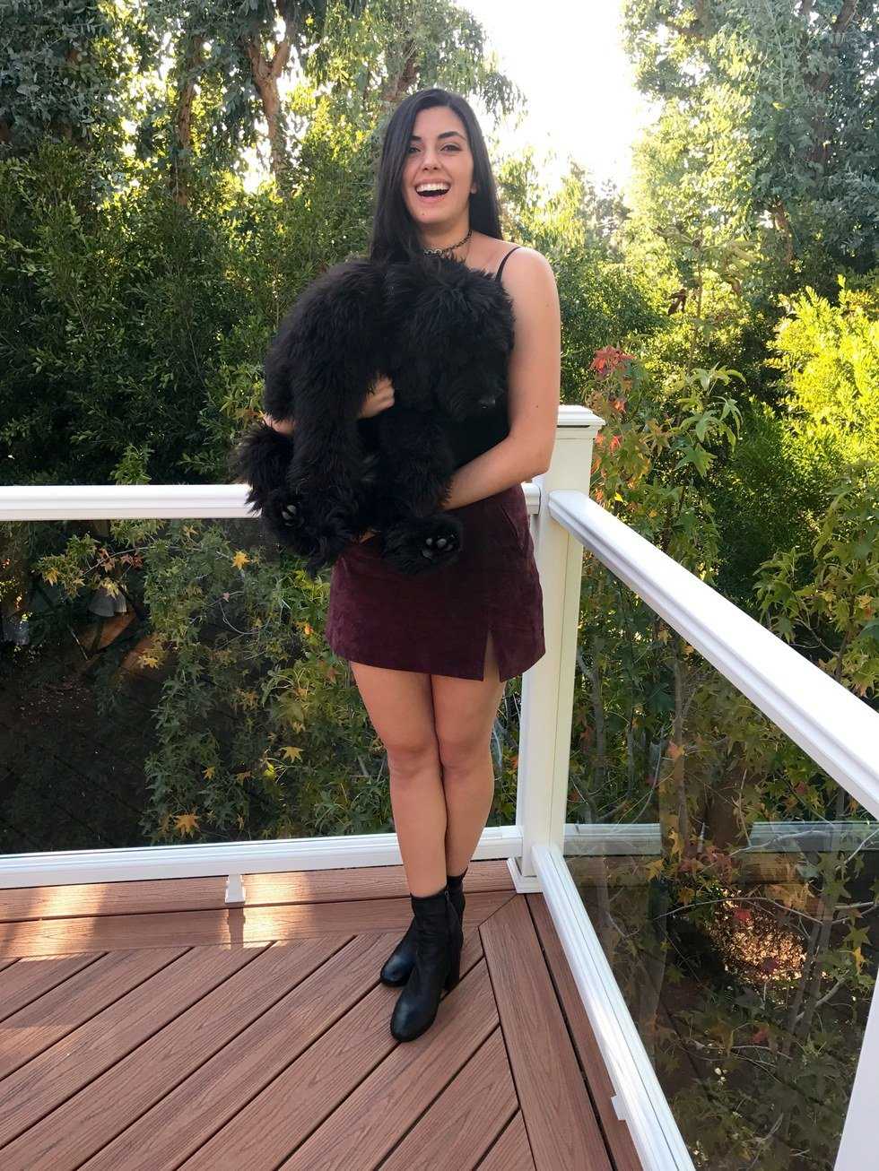 A California Thanksgiving
