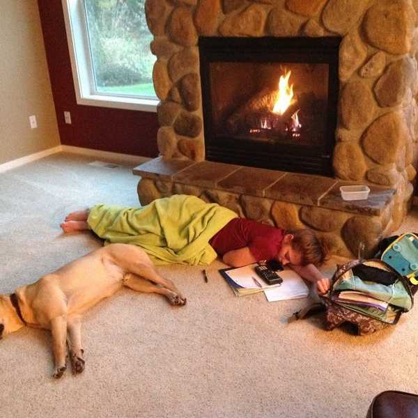 A Thank You To My Dog