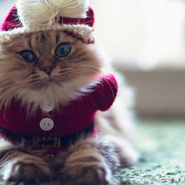 The Ultimate “Now That Thanksgiving Is Over It's Acceptable To Listen To Christmas Music" Playlist