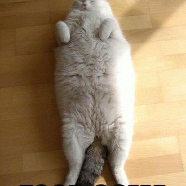 The Five Stages of a Food Coma