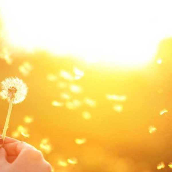 The Importance of Hope